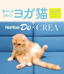 Ｎｕｍｂｅｒ　Ｄｏ（ナンバー・ドゥ）癒やしの日めくり　ヨガ猫　（Ｓｐｏｒｔｓ　Ｇｒａｐｈｉｃ　Ｎｕｍｂｅｒ　ＰＬＵＳ（スポーツ・