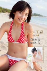 Fairy Tail Vol.16 / 保田真愛 栗田恵美