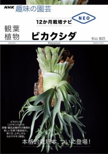 観葉植物　ビカクシダ