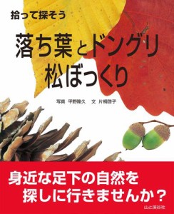 拾って探そう　落ち葉とドングリ・松ぼっくり