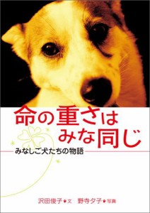 命の重さはみな同じ みなしご犬たちの物語