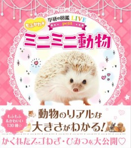 もふかわ☆ミニミニ動物