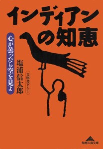 インディアンの知恵〜心が曇ったら空を見よ〜