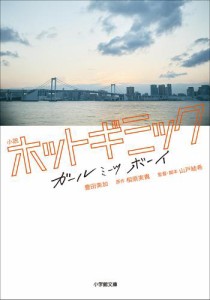 小説　ホットギミック　ガールミーツボーイ