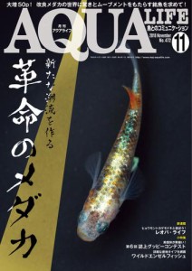 アクアライフ (11月号)