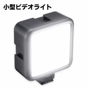 ビデオライト 小型 49 LED 撮影ライト 2100mAh USB充電式 ソフト光 超高輝度 明るい白色光 光度調節 コールドシューマウント付き カメラ