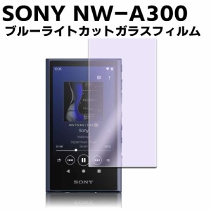 SONY ウォークマン ZX NW-ZX507(B) ケース、フィルム付き+select