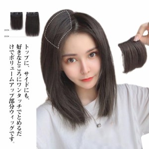 ボリュームアップ！髪増量 部分ウィッグ ヘアピース ポイントウィッグ ミニ つけ毛 前髪ウィッグ 人毛 レディース 円形脱毛 かつら エク