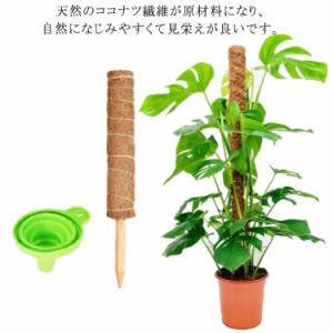 ココスティック モンステラ支柱 観葉植物 支柱 園芸支柱 植物 ガーデニング用 花ささえ ココナッツ支柱 植物サポート つる性植物 トマト 