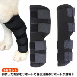 犬用 サポーターの通販｜au PAY マーケット