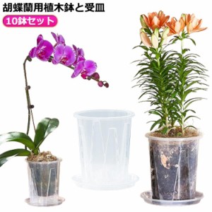 蝶蘭 プラスチック 育苗ポット 10鉢セット 植木鉢 胡蝶蘭専用 洋蘭鉢 穴付き 蘭の鉢 胡蝶蘭専用 胡蝶蘭鉢 受皿付き 屋内 屋外 胡蝶蘭の植