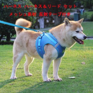 犬 ハーネス ウェアハーネス リード付 犬 胴輪 ペット服 一体型 小型犬 ドッグ 胸あて式 軽量 メッシュ 犬用 キャット ペット用品 猫用首