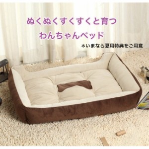 冬用 夏用ござ 犬用ベッド 大型 お得セット (ベッド・マット/カドラー/ペットベッド)(犬用品/ペット商品/寝具 中型 ) 四季用