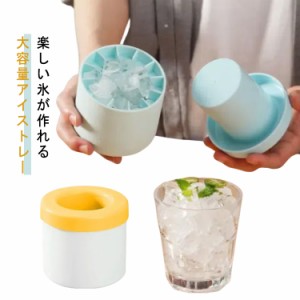 製氷ケース プレゼント シンプル シリコン製氷皿 おしゃれ 製氷機 シリコン製氷皿 蓋付 2個セット 保存ケース 製菓グッズ 氷 キッチン用