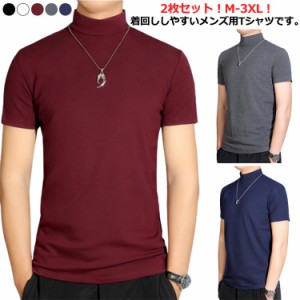 ハイネック モックネック 2枚セット 半袖 メンズ Tシャツ メンズtシャツ 父の日 ストレッチ カットソー 無地 2枚セット ゴルフtシャツ ト