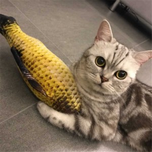 猫おもちゃ お魚 40cm or 30cm ねこちゃん ペットおもちゃ 猫用抱き枕 噛むおもちゃ ペット用品 清潔安全 運動不足解消 大人気 キッカー 