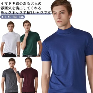 Tシャツ ハイネック メンズ 半袖 スポーツ 無地 夏 ティーシャツ モックネック 半袖 トップス カットソー ゴルフウェア カジュアル シン