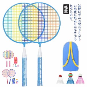 バドミントン ラケット バドミントンセット 小型 ボール付き 軽量 子供用 幼児 収納ケース付き テニスラケット 親子用 アウトドア おもち