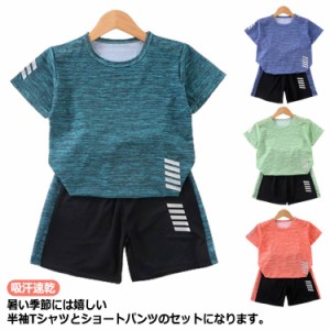 スポーツウェア キッズ 上下セット 半袖 Tシャツ ショートパンツ セットアップ 運動着 男の子 女の子 子ども ジュニア 吸汗速乾 お洒落 