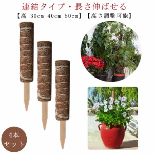  観葉植物 30cm 40cm 花ささえ 支柱 園芸支柱 50cm 支柱 天然 ココナッツ支柱 モンステラ支柱 高さ調整可能 連結可能 ガーデニング用 高 