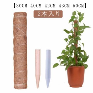  2本入り 植物支柱 園芸用 ココナッツ支柱 ポトス 支柱 ココナッツ支柱 40CM 43CM 42CM モンステラ 50CM 観葉植物 園芸支柱 園芸支柱 コ