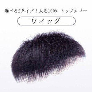  ウィッグ  人毛100％ トップカバー 男性用ウィッグ ヘアピース 普段使い 白髪隠し 人毛ウィッグ メンズ ショート トップピース 薄毛隠し