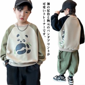  パーカー 長袖 パンダ柄 スウェット トレーナー ゆったり 配色 子供服 キッズ 男児 スウェット トップス カットソー 男の子 薄手 秋 ス