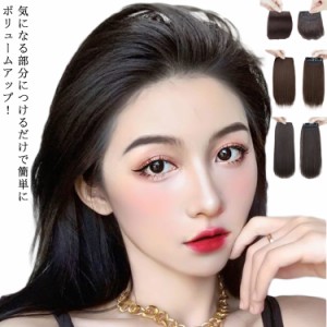  部分ウィッグ 2個セット 円形脱毛症 10cm/20cm/30cm 送料無料 ヘアピース ファイバー かつら ウィッグ トップピース つけ毛 ボリューム 