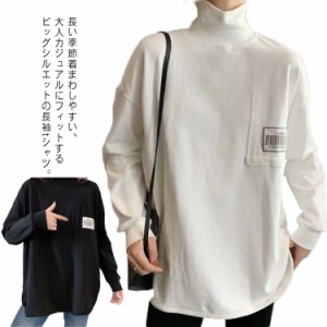  ロンt 重ね着 カットソー レディース トップス Tシャツ カジュアル 定番 秋 ラウンドカット チュニック レイヤード 長袖 冬 タートルネ