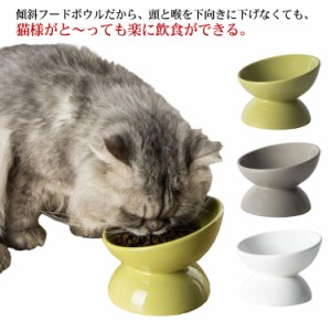  餌 猫 猫用 お皿 犬 犬用 餌皿 傾斜15° 食器台 フードボウル セラミック 食器 小型犬 ペット用 水飲みボウル エサ エサ皿 ペット食器 