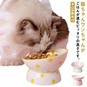  エサ 猫 ペット 猫用 犬用 ペット食器 ねこ フードボウル キャット セラミック ペット用食器 斜め 傾斜 台 皿 器 猫用 ボウル 食器 お皿