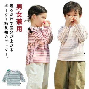  カットソー クルーネック ボーダー キッズ ロンT 送料無料 かわいい 長袖Tシャツ 男の子 トップス 可愛い 女の子 コットン インナー tシ