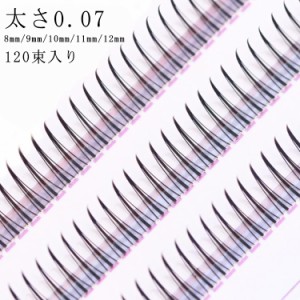  8mm ボリュームエクステ 120束入 9mm 11mm まつげエクステ まつげエクステ まつ毛エクステ 10mm Cカール 12mm フレアタイプ ボリューム