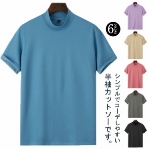  半袖 Tシャツ メンズ ゴルフウェア スポーツ カジュアル トップス カットソー 無地 ティーシャツ モックネック カジュアル ランニング 