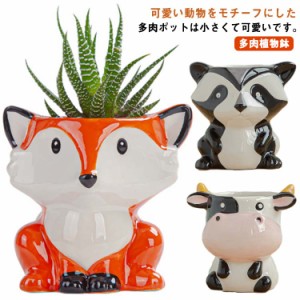  部屋飾り 多肉植物鉢 ミニ植物 陶磁器 底穴付き 可愛い リビング サボテン鉢 小型 インテリア オフィス アニマル ガーデニング プレゼン