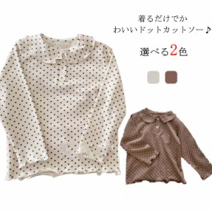  長袖 綿 カットソー 子供服 新作 ラウンドカラー ブラウス 丸襟 カジュアル コットン ドット柄 ジュニア Tシャツ 子ども服 トップス キ