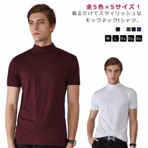  全5色×5サイズ！モックネック メンズ カットソー ストレッチ 春夏 半袖tシャツ 半袖 ハイネック トップス 送料無料 ティーシャツ イン