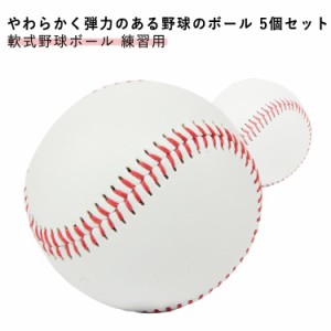 ボール 中学生 5個セット 室内練習 バッティング練習 ボール 野球ボール 野球ボール トレーニング ジュニア 男の子 女の子 キッズ 低学年