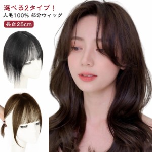 頭頂部 部分ウィッグ 人毛100％ ポイントウィッグ ヘアピース トップ ピース トップ カバー 前髪付き・なし つむじ 薄毛隠し カツラ 白髪