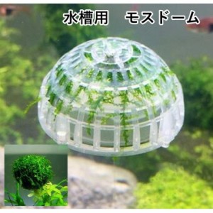 モスドーム ドーム型 水槽水草 育成用品 水草が育つ 水草育成 水草苗床 水槽用 苔 直物栽培 クリア グリーングラス アクアリウム プラン