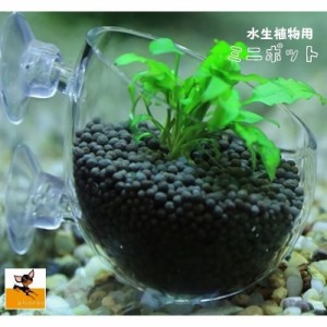 ミニポット カップ ミニ ホルダー 装飾 植栽 水生植物 熱帯魚 メダカ 金魚 水槽レイアウト アクアリウムグッズ 水槽用品 レイアウト用品 