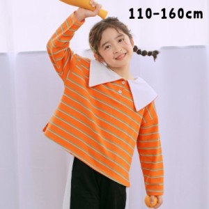 Tシャツ 長袖Tシャツ キッズ ジュニア 子供服 襟付き 長袖 トップス ボーダー ストライプ ボタン カジュアル かわいい 春 秋