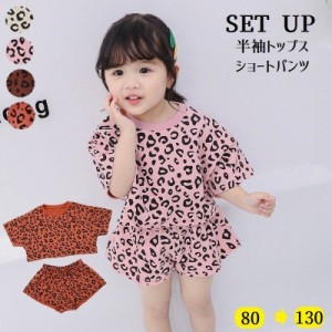 セットアップ 半袖トレーナー ショートパンツ 2点セット 上下セット 子供服 キッズ服 女の子用 ヒョウ柄 トレーナー 半袖 ラウンドネック