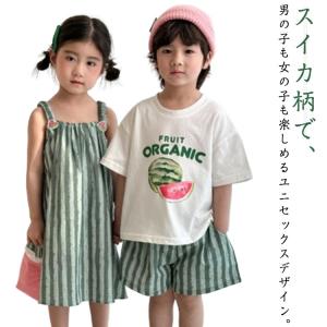 スイカ風セットアップ(90) （スイカ イチゴ おにぎり アイス