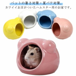 可愛い 陶器 陶器 お家 ハムスター 涼しい お部屋 ドワーフハムスター ハムスター ハウス 熱中症対策 シンプル 無地 暑さ対策 ハムスター