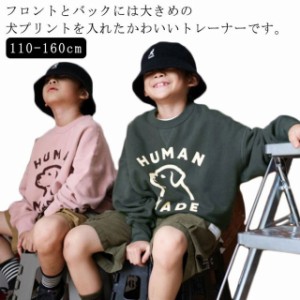 スウェット トレーナー わんちゃん 犬 プリント キッズ プルオーバー パーカー 薄手 かわいい 子供服 男の子 女の子 春 秋 冬 トップス 