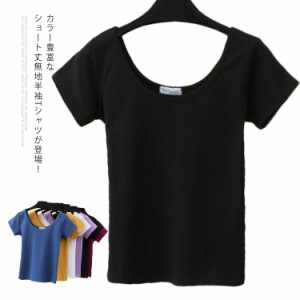 ショート丈tシャツ レディース シンプル 全6色×4サイズ！前後Uネック ショート丈 半袖 全6色×4サイズ！前後Uネック 無地Tシャツ ショー