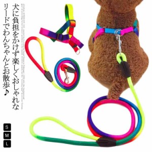 リード ハーネス セット ペット 小型 ハーネス