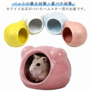 ハムスター ハウス 陶器 寝床 陶器 涼しい お部屋 お家 ハムスター 暑さ対策 熱中症対策 シンプル 無地 可愛い ドワーフハムスター 小屋 