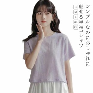 半袖Tシャツ ショート丈 レディース トップス カットソー 女性Tシャツ tシャツ クロップド丈 半袖 春夏秋 学生 無地 可愛い パープル 薄